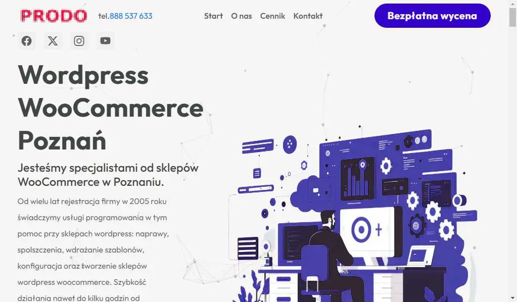 WooCommerce programista Poznań